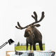 Close Up Of Young Bull Moose Wall Mural