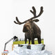 Close Up Of Young Bull Moose Wall Mural