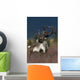 Portrait Of Bull Caribou Denali Np Ak In Autumn Wall Mural
