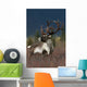 Portrait Of Bull Caribou Denali Np Ak In Autumn Wall Mural