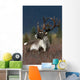 Portrait Of Bull Caribou Denali Np Ak In Autumn Wall Mural