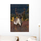 Frontal View Of Large Caribou Bull Wall Mural