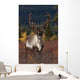 Frontal View Of Large Caribou Bull Wall Mural