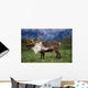 Captive Caribou At Alaska Wildlife Conservation Center Wall Mural