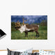 Captive Caribou At Alaska Wildlife Conservation Center Wall Mural
