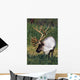 Captive Bull Caribou Standing Wall Mural