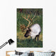 Captive Bull Caribou Standing Wall Mural