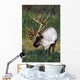 Captive Bull Caribou Standing Wall Mural