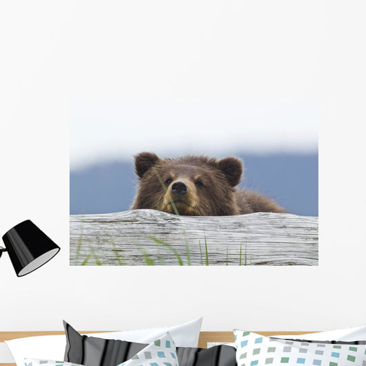 A Brown Bear Cub Rests Its Head On A Log Wall Mural