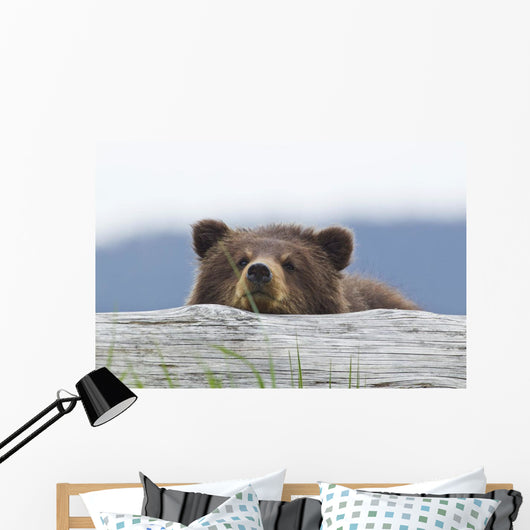 A Brown Bear Cub Rests Its Head On A Log Wall Mural