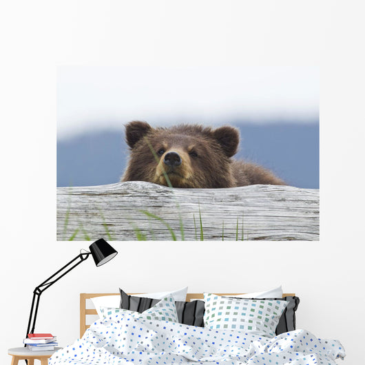 A Brown Bear Cub Rests Its Head On A Log Wall Mural