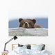 A Brown Bear Cub Rests Its Head On A Log Wall Mural