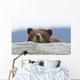 A Brown Bear Cub Rests Its Head On A Log Wall Mural