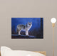 Coyote Standing Wall Mural