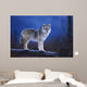Coyote Standing Wall Mural