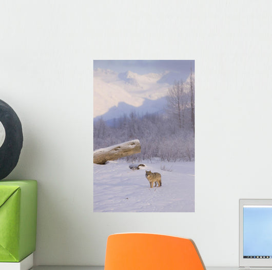 Captive Wall Mural