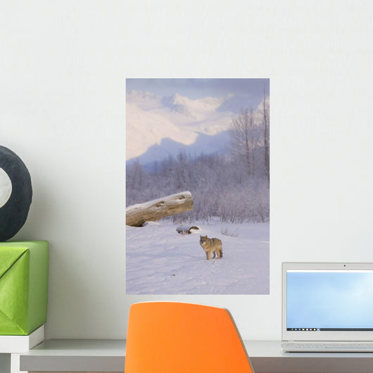 Captive Wall Mural