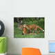 Adolescent Red Fox Play Together Elmendorf Ak Sc Summer Golf Course Wall Mural