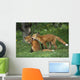 Adolescent Red Fox Play Together Elmendorf Ak Sc Summer Golf Course Wall Mural