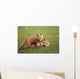 Red Fox Kits Playing Together Wall Mural