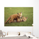 Red Fox Kits Playing Together Wall Mural