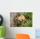 Young Red Fox Kit In Forest Wall Mural