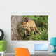 Young Red Fox Kit In Forest Wall Mural