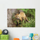 Young Red Fox Kit In Forest Wall Mural
