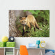 Young Red Fox Kit In Forest Wall Mural