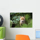 Kit Red Fox Peering Through Bushes At Mcneil River Summer Wall Mural