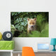 Kit Red Fox Peering Through Bushes At Mcneil River Summer Wall Mural