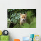Kit Red Fox Peering Through Bushes At Mcneil River Summer Wall Mural