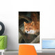 Red Fox Sitting Under A Shelter Wall Mural