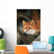 Red Fox Sitting Under A Shelter Wall Mural