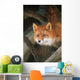 Red Fox Sitting Under A Shelter Wall Mural