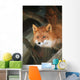 Red Fox Sitting Under A Shelter Wall Mural