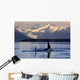 Two Killer Whales Surface Wall Mural