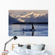 Two Killer Whales Surface Wall Mural