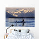 Two Killer Whales Surface Wall Mural