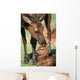 Cow Elk Tending To Its Calf Wall Mural