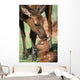Cow Elk Tending To Its Calf Wall Mural