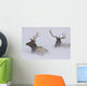 Two Bull Elk Lying In Deep Snow Wall Mural