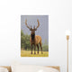 Captive Bull Roosevelt Elk With Antlers In Velvet Stands Alert Wall Mural