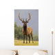 Captive Bull Roosevelt Elk With Antlers In Velvet Stands Alert Wall Mural