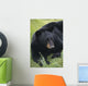 Captive Wall Mural