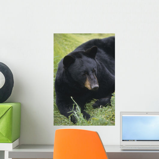 Captive Wall Mural
