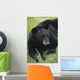 Captive Wall Mural