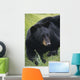 Captive Wall Mural