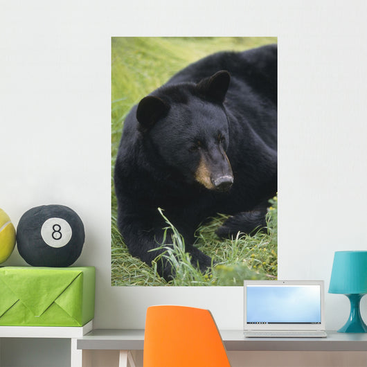 Captive Wall Mural