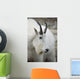 Mountain Goat In Alberta Canada During Fall Wall Mural